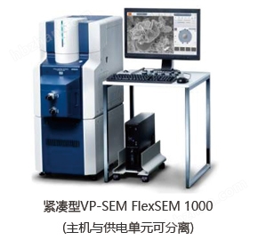 FlexSEM 1000日立掃描